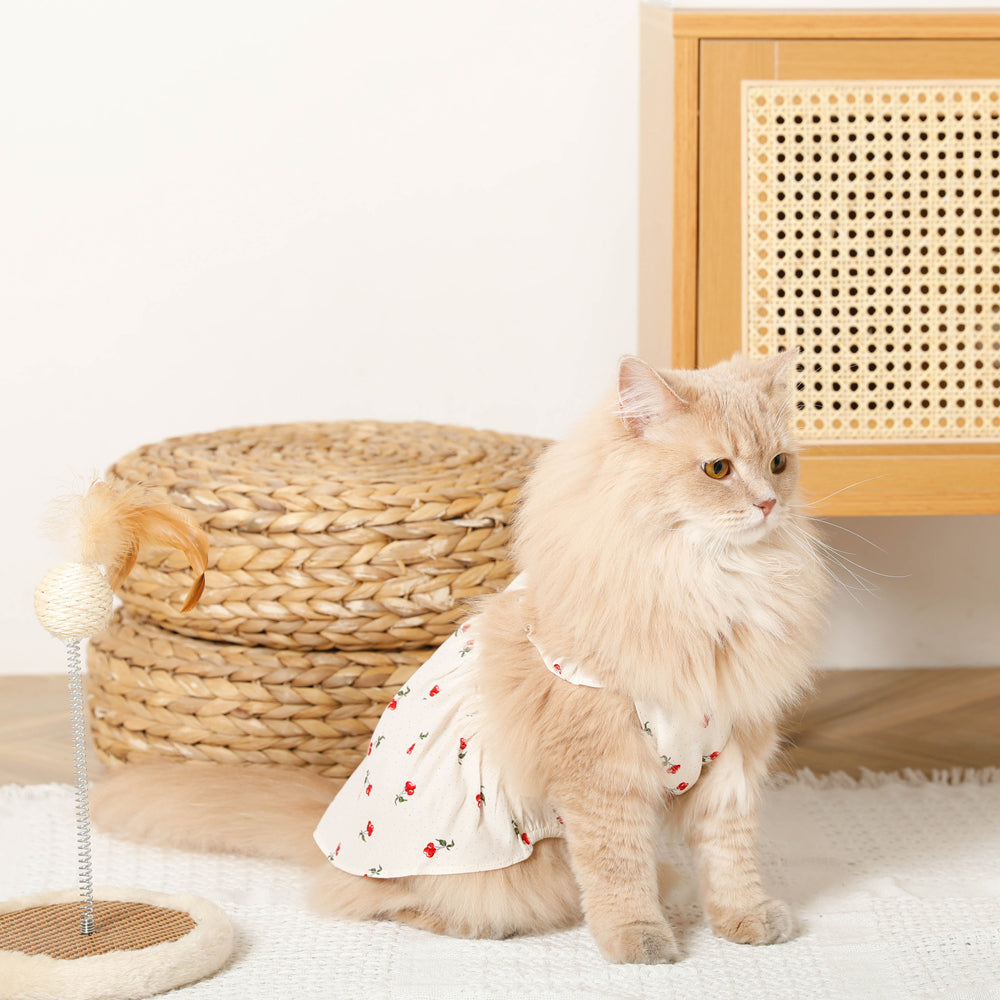 Cool cherry dot frill dress