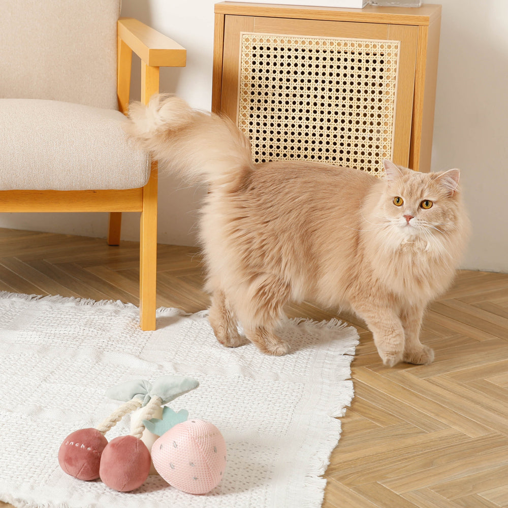 cherry rope plush toy
