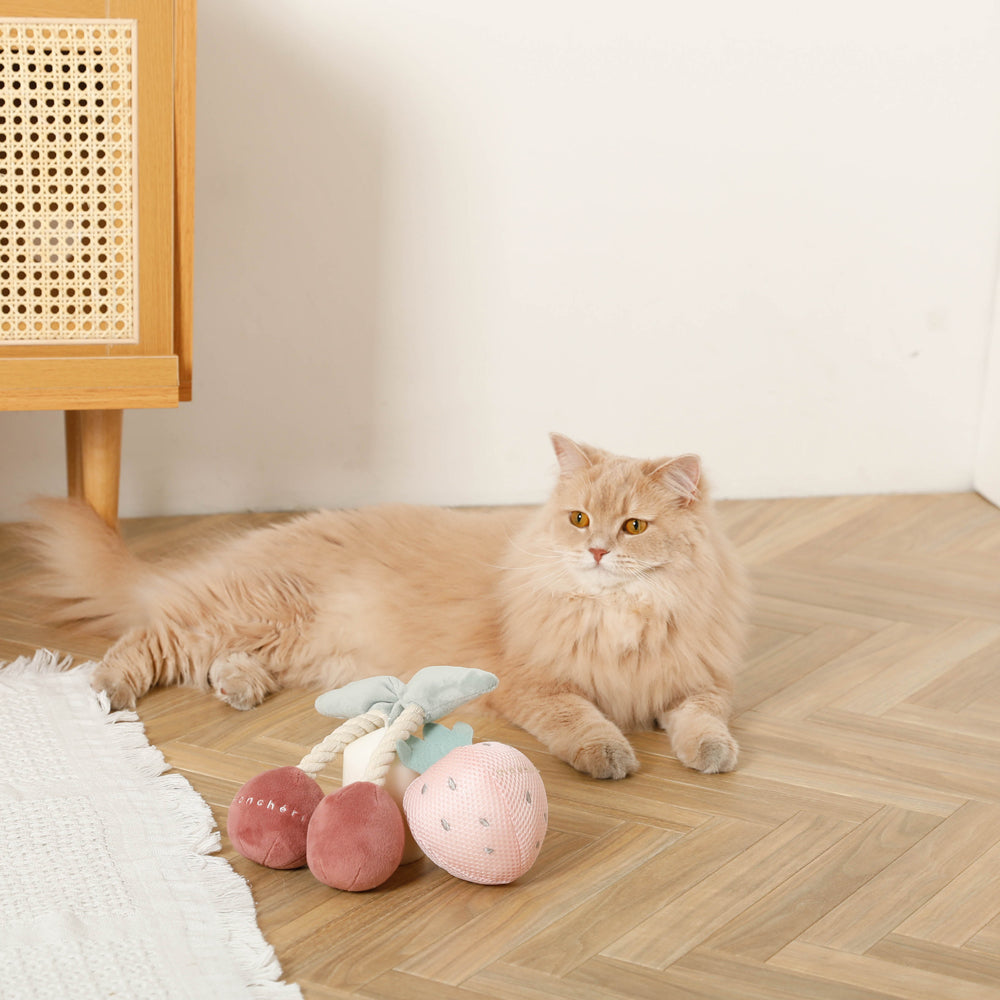 cherry rope plush toy