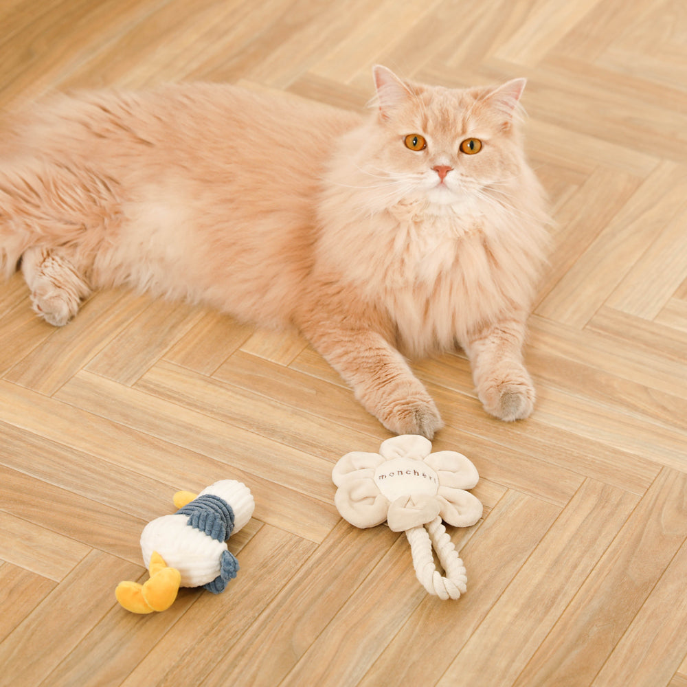 长脖子鸭子先生