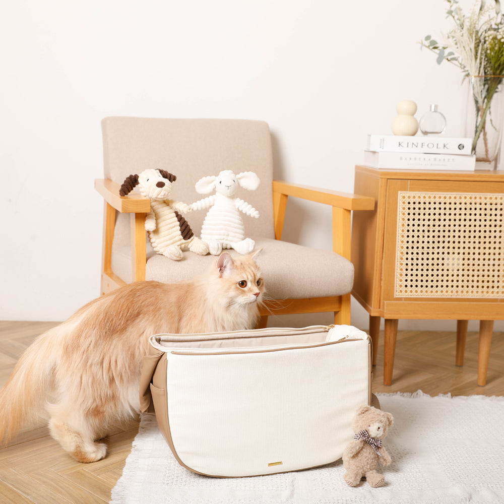 Canvas with mesh x eco leather pet sling [Supports name embroidery]