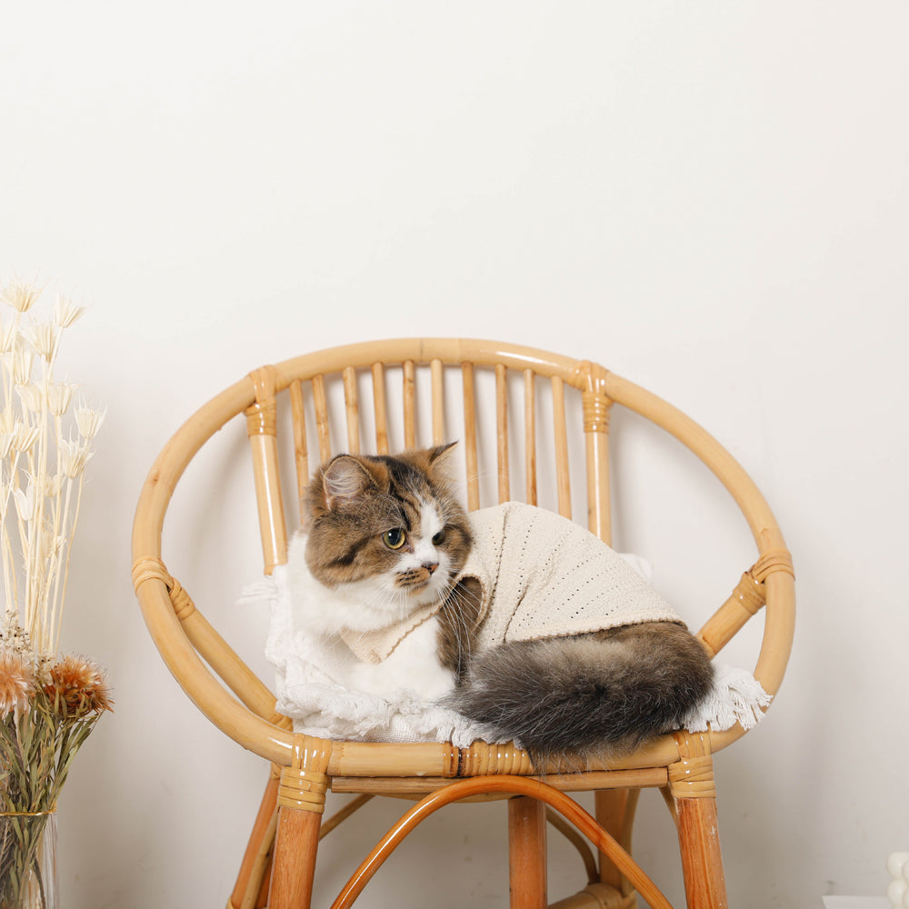 Sleeveless top with cooling pico lace ribbon