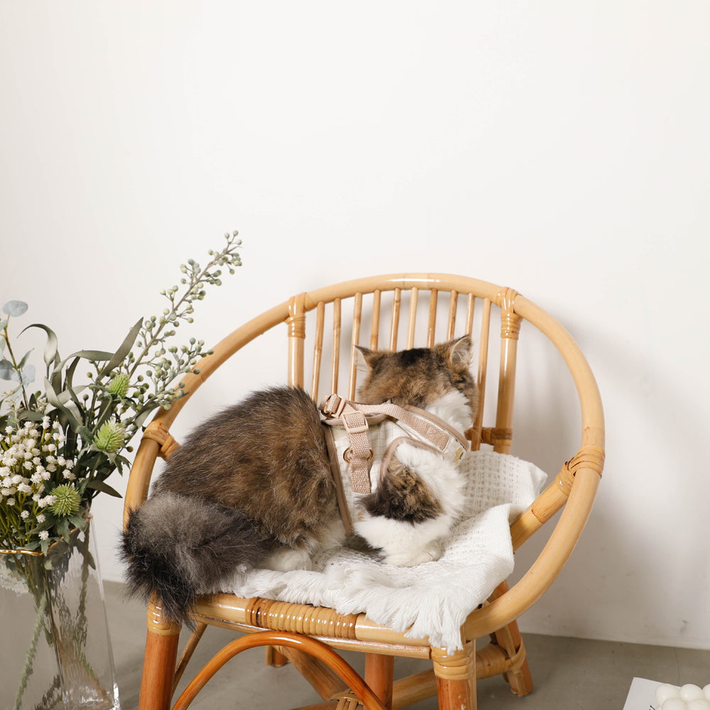 Lemon pattern embroidery harness + lead set [Name embroidery available]