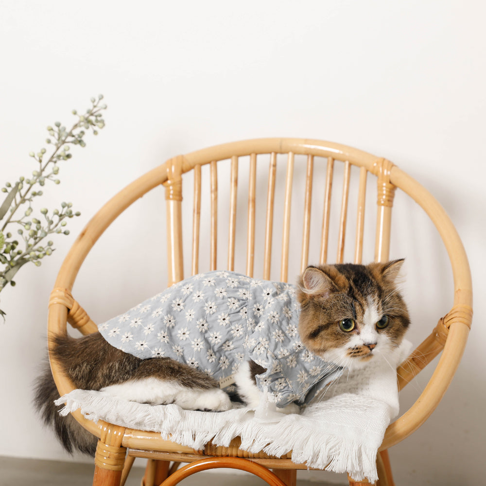 冷感フラワー刺繍ショルダーフリルブラウス