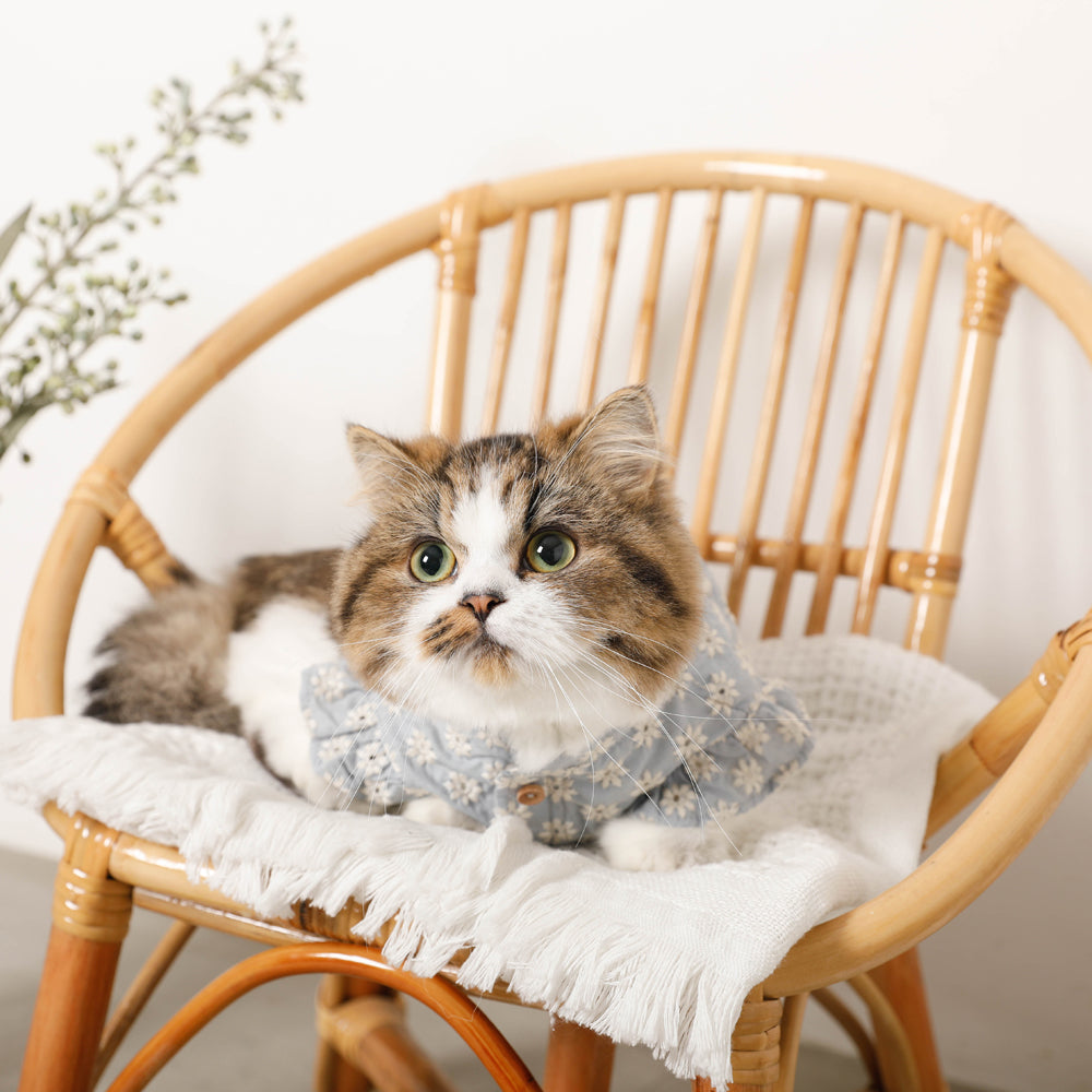 冷感フラワー刺繍ショルダーフリルブラウス