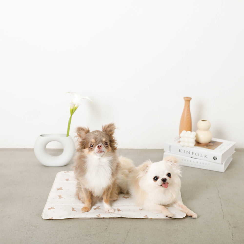 くまさんクールひんやりジェルマット Mサイズ