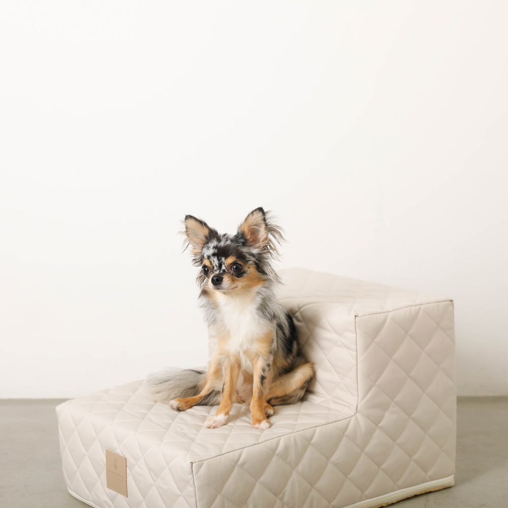 pet quilting stairs