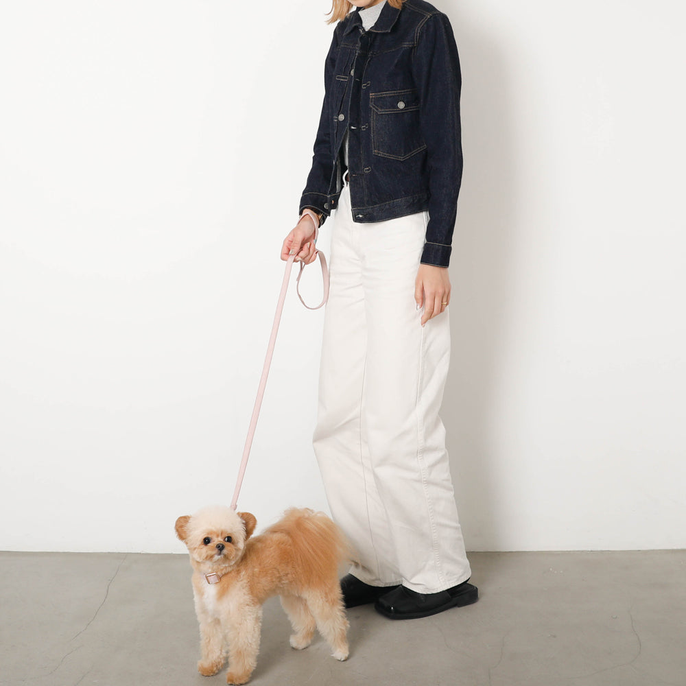 エコスエードカラー＋リードSET【名入れ彫刻対応】