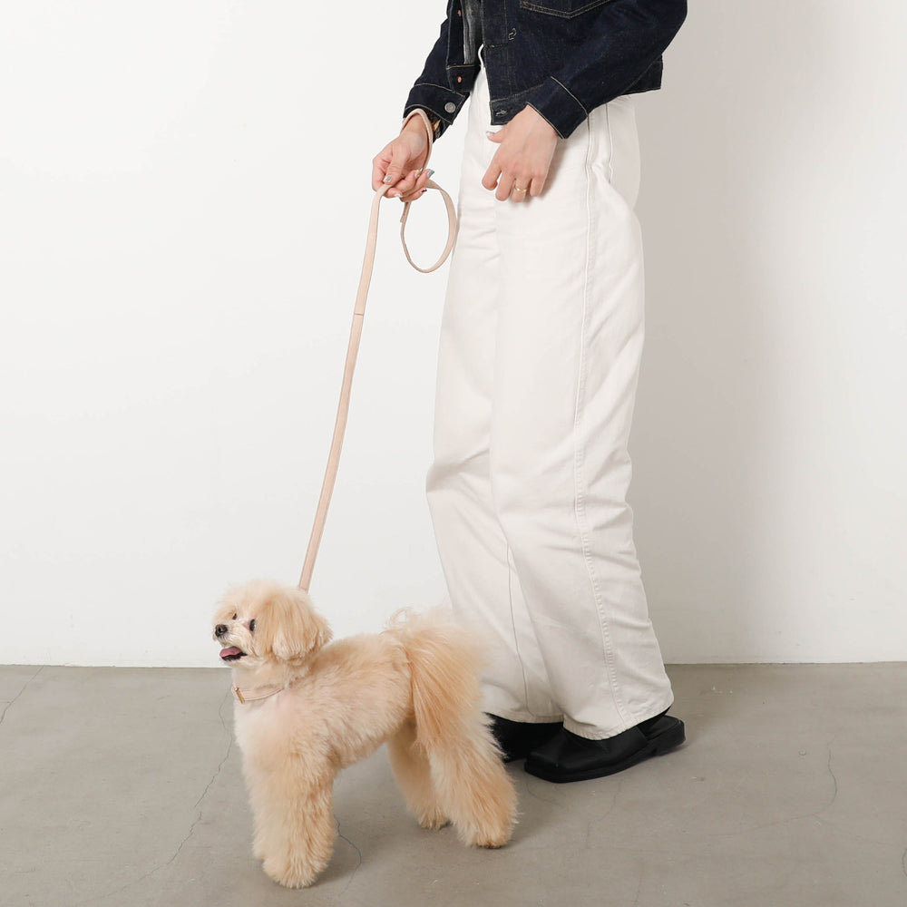 エコスエードカラー＋リードSET【名入れ彫刻対応】