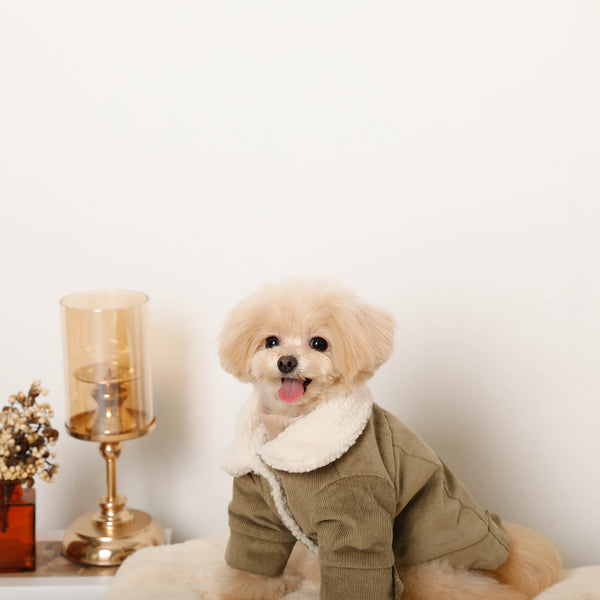 犬の洋服を探す | ドッグウェア・犬服通販 - monchéri(モンシェリ