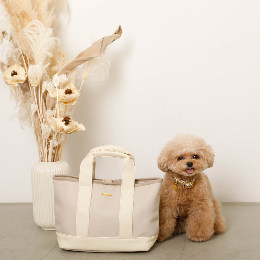 2way eco leather walking bag (with deodorant drawstring bag)