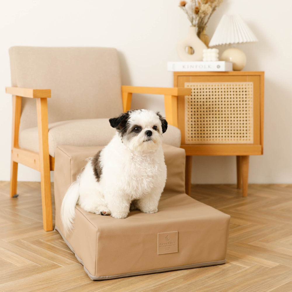 エコレザー階段