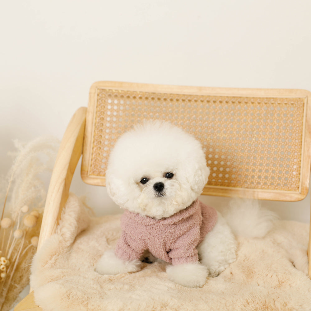 Rabbit ears fluffy hoodie