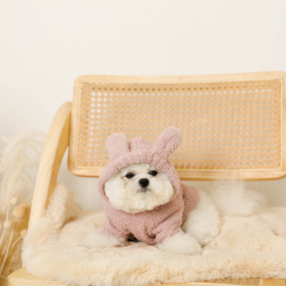 Rabbit ears fluffy hoodie