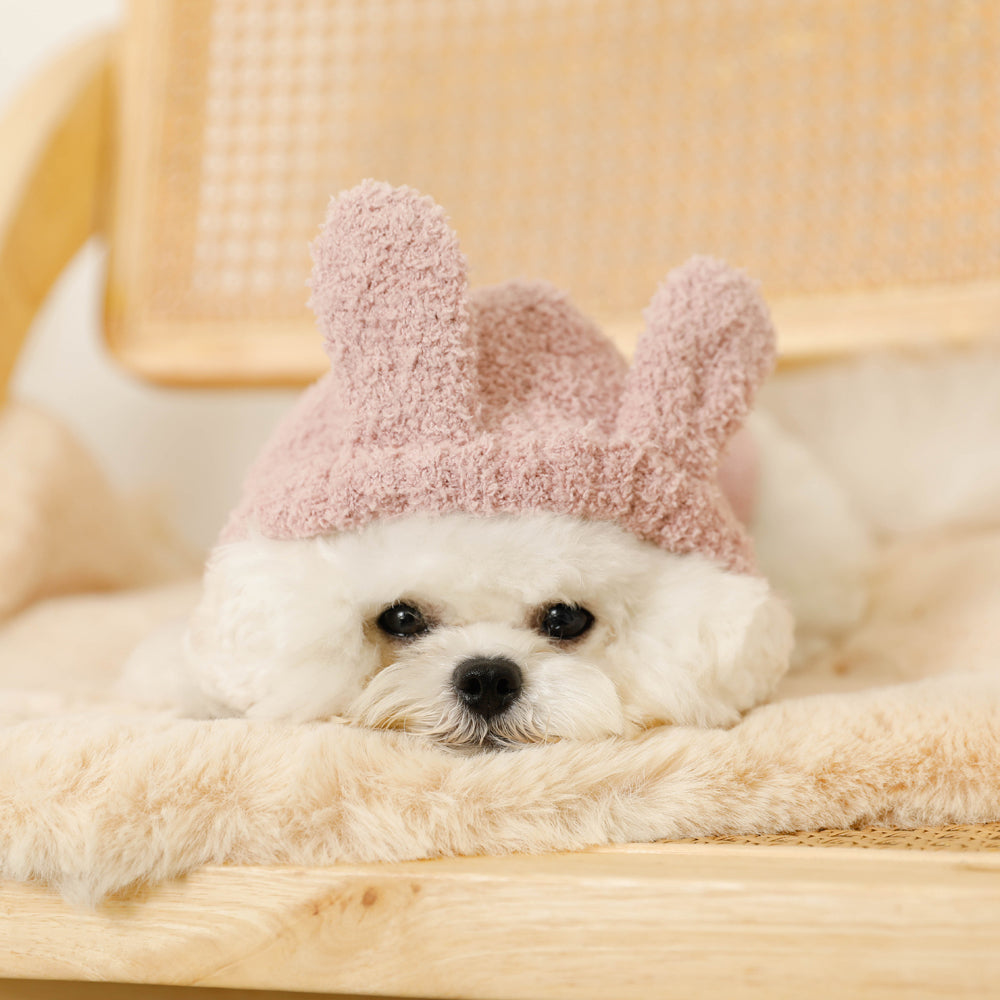 Rabbit ears fluffy hoodie