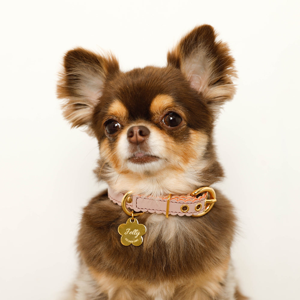 Nanami Flower Charm Leather Color [Supports name engraving]