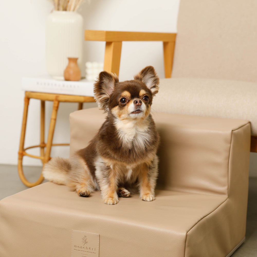 エコレザー階段