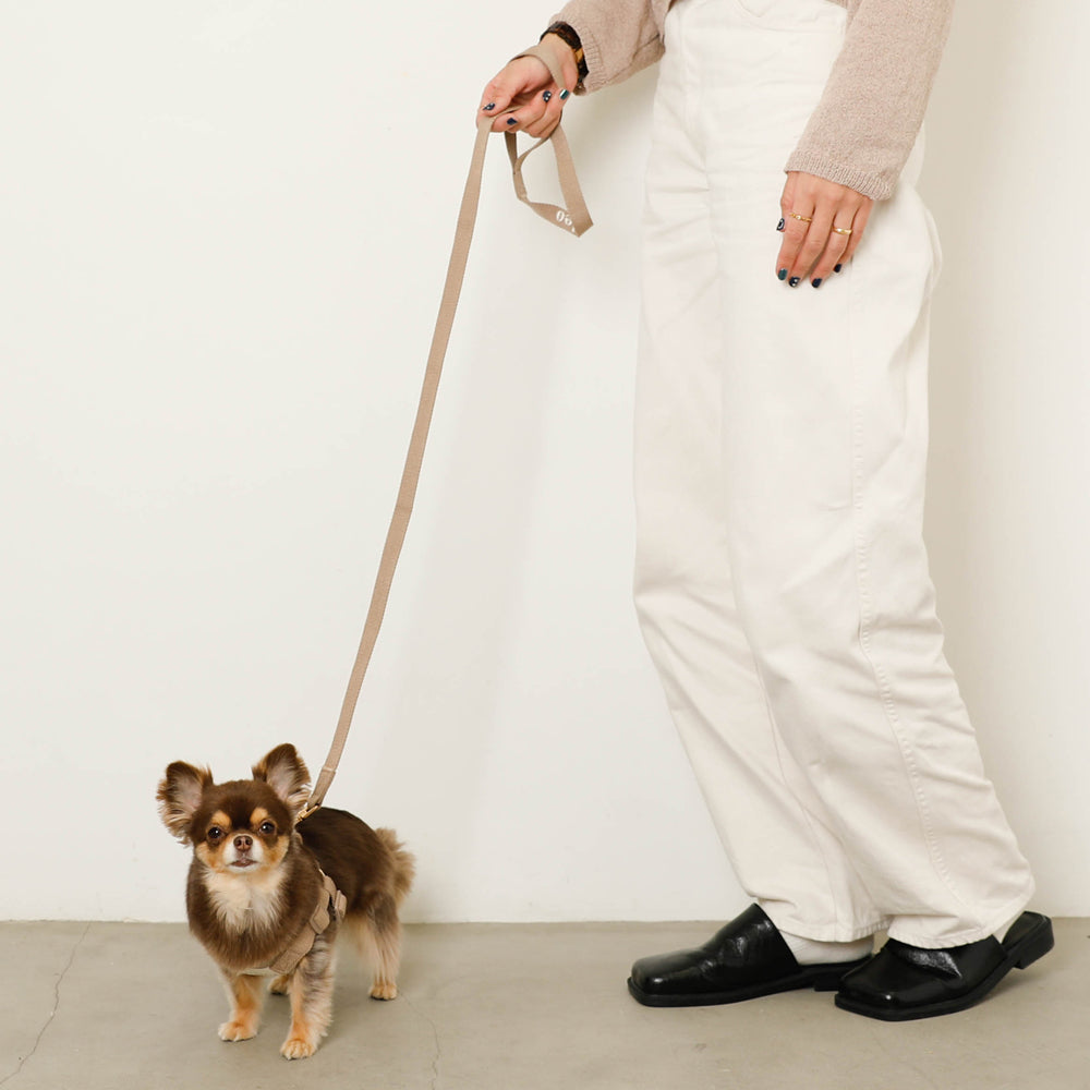 犬用 ハーネス 撥水 撥水バイカラーハーネス+リードSET【名入れ刺繍対応】