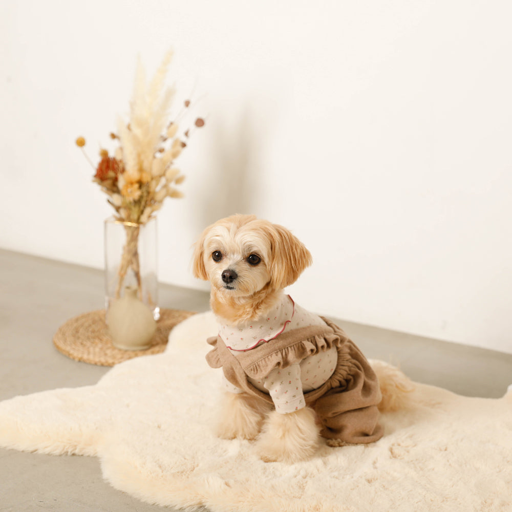 ショルダーフリルかぼちゃパンツ