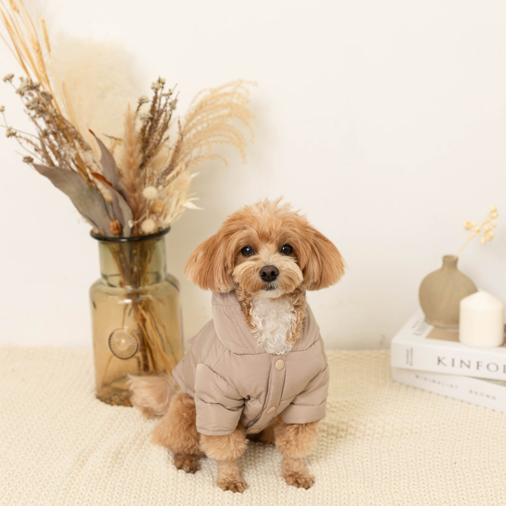 moncheri ポケット付きフードダウンジャケット 犬服 ドッグウェア XL ポケット付きフードダウンジャケット