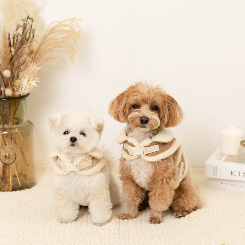 Shearling style harness + leash SET [Compatible with name embroidery]