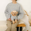 Cable Alan knit knit (for your dog)
