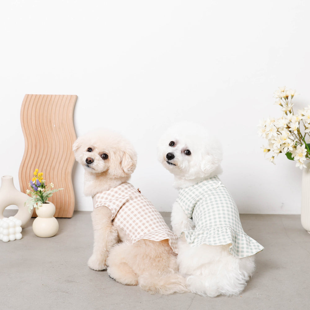 Cool gingham check ruffle dress