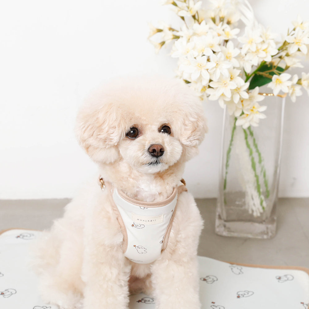 tombonia collaboration harness + lead SET [Name embroidery available]