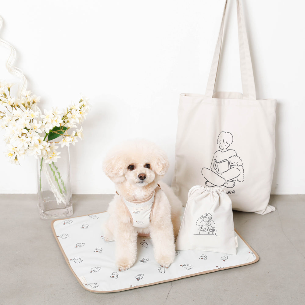 tombonia collaboration tote bag