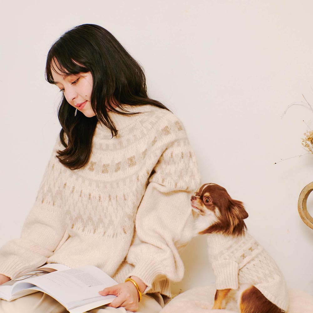 [Link Coordination SET] Nordic pattern high neck knit
