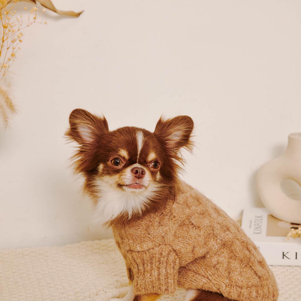 [Link Coordination SET] Cable drop shoulder knit