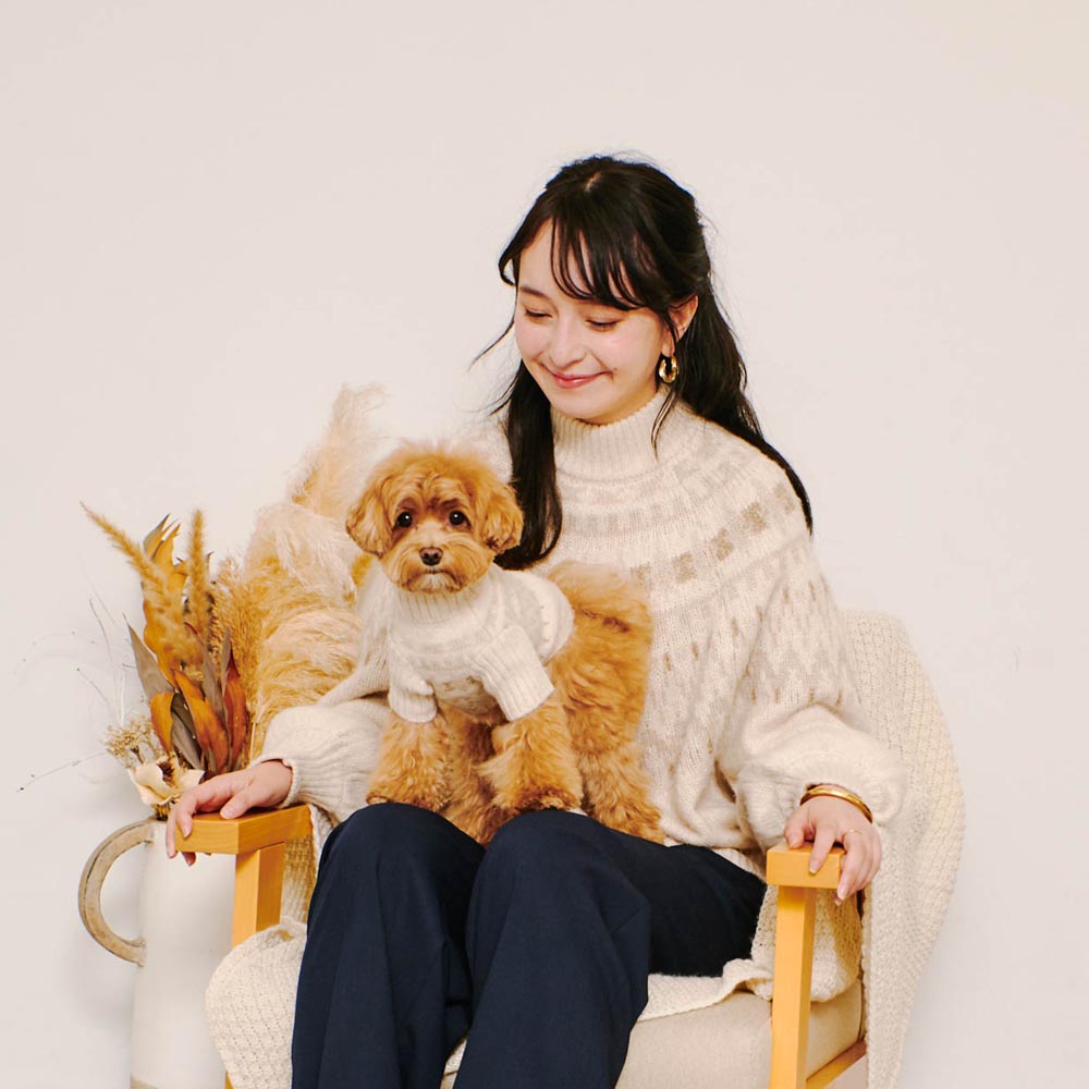 [Link Coordination SET] Nordic pattern high neck knit