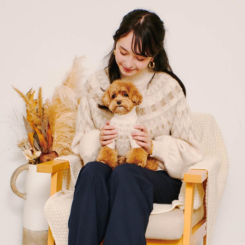 [Link Coordination SET] Nordic pattern high neck knit