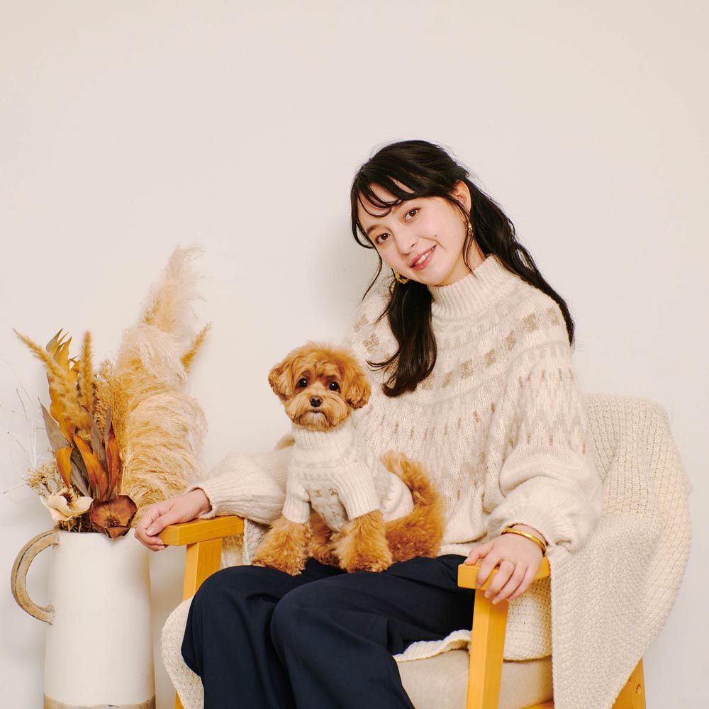 [Link Coordination SET] Nordic pattern high neck knit