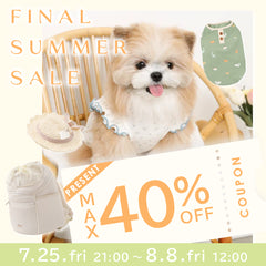 【完売品✨ほぼ未使用】RACHEL COMEY カラーベルト（マスタード） Dog Clothes & Suppliers | monchéri – moncheri