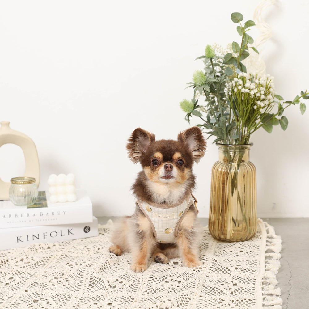 Lemon pattern embroidery harness + lead set [Name embroidery available]
