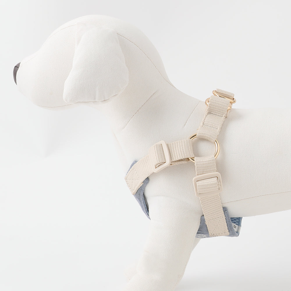 Cool Shell Starfish Pattern Harness + Lead Set [Compatible with name embroidery]
