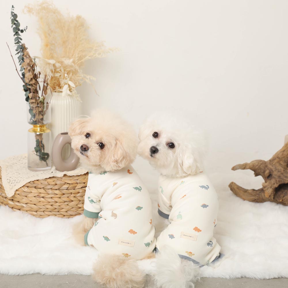Thermal dinosaur pattern stretch romper
