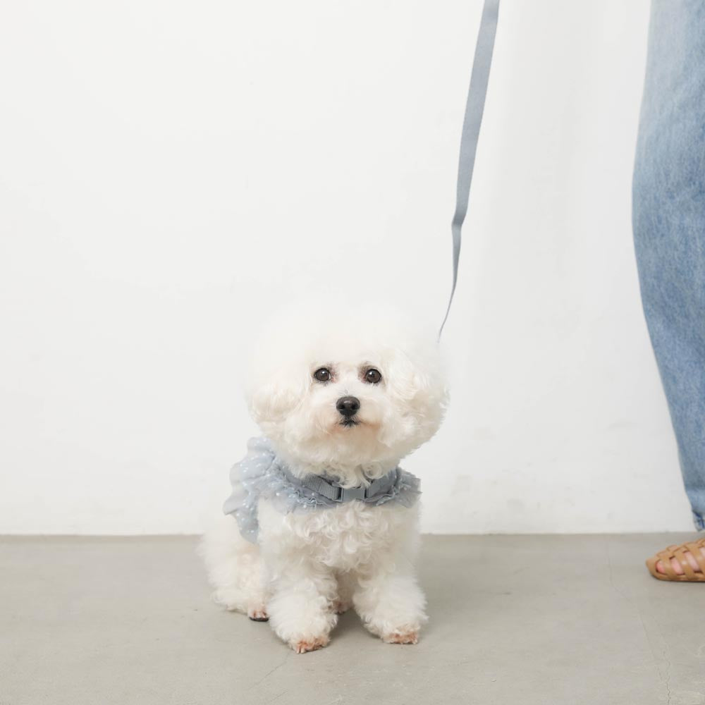 Dot tulle harness + lead SET [Compatible with name embroidery] [Compatible with ice packs]