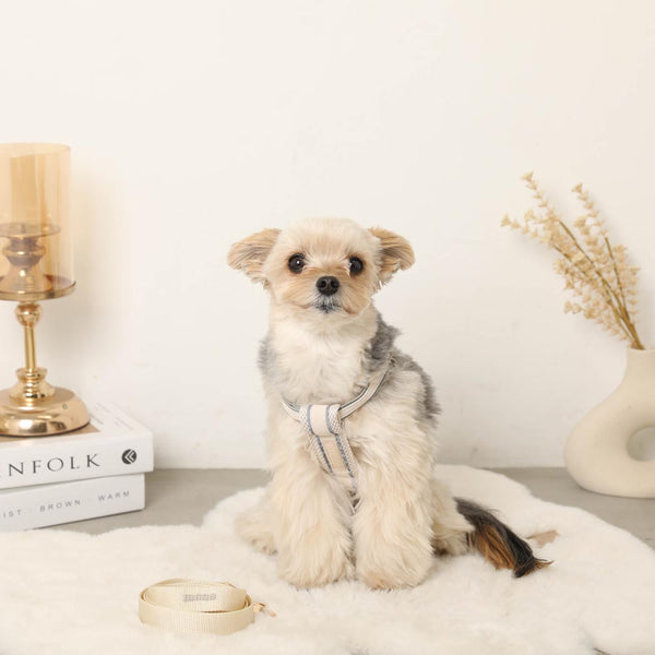 网状组合反射胶带线束+导线集【名称刺绣对应】