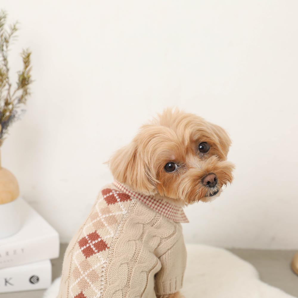 shirt docking argyle knit