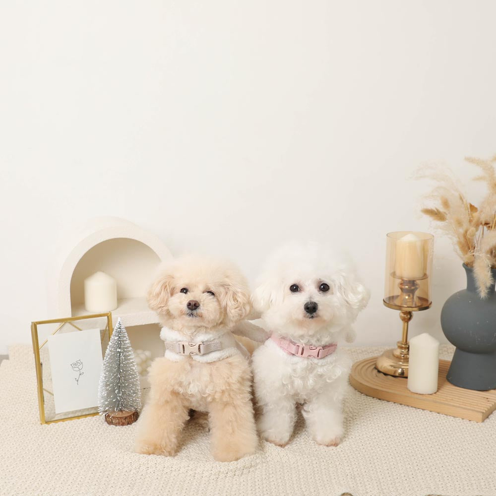 Angel Harness + Lead SET [Compatible with name embroidery]