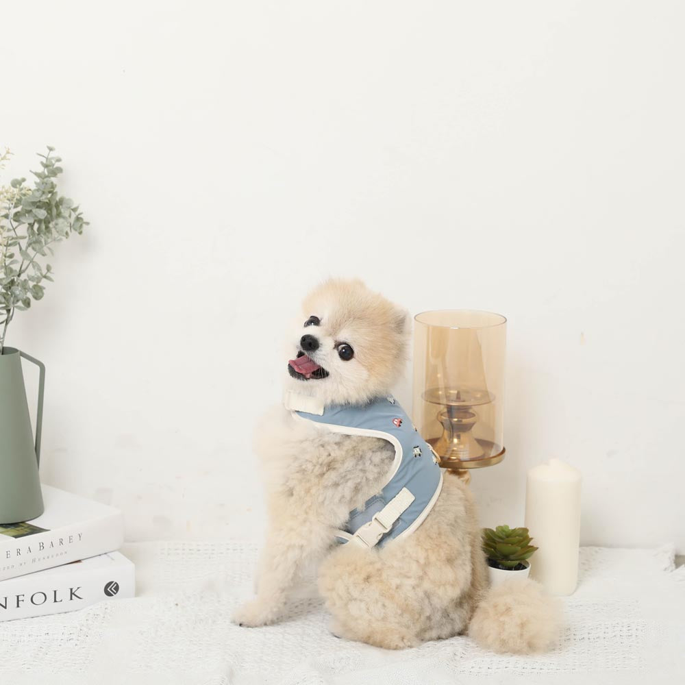 Car pattern harness + leash SET [Name embroidery available]