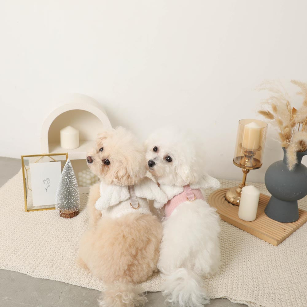 Angel Harness + Lead SET [Compatible with name embroidery]