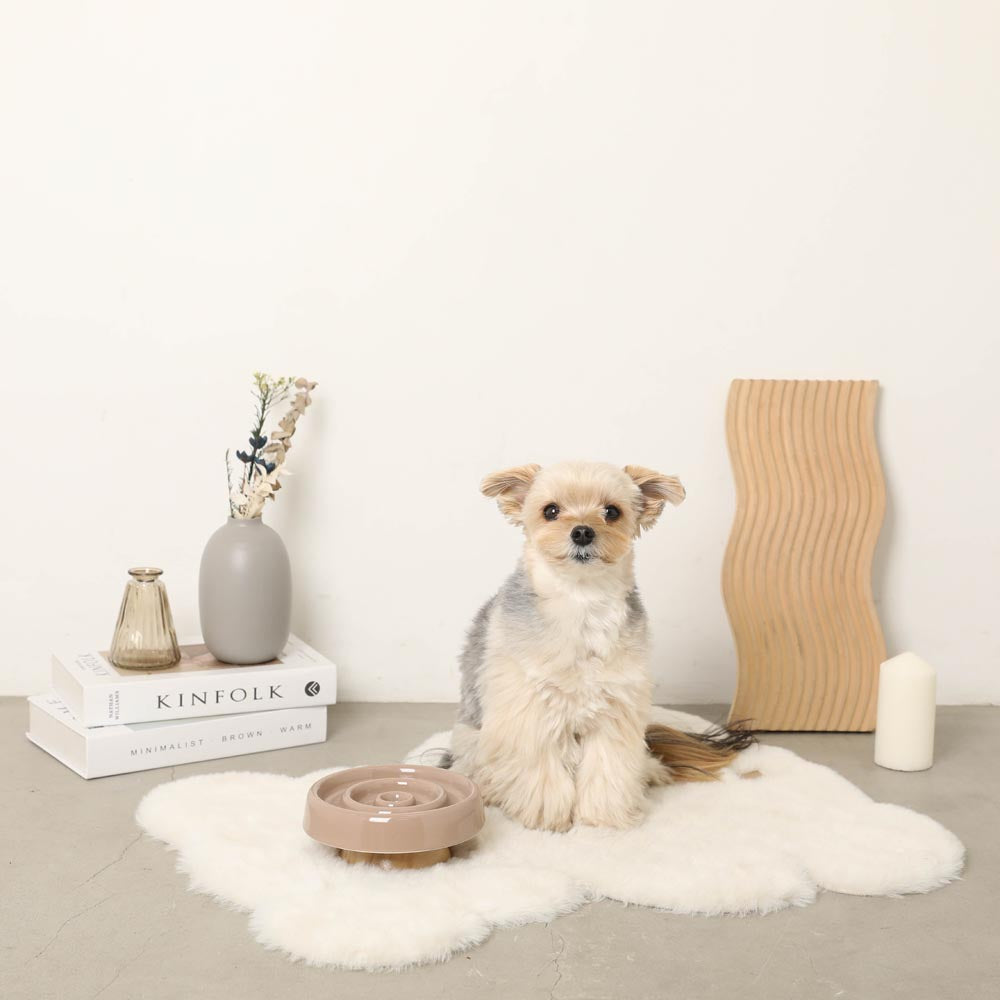 早食い防止ナチュラルサークルフードボウル