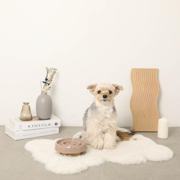 防止快速进食的天然圈食物碗