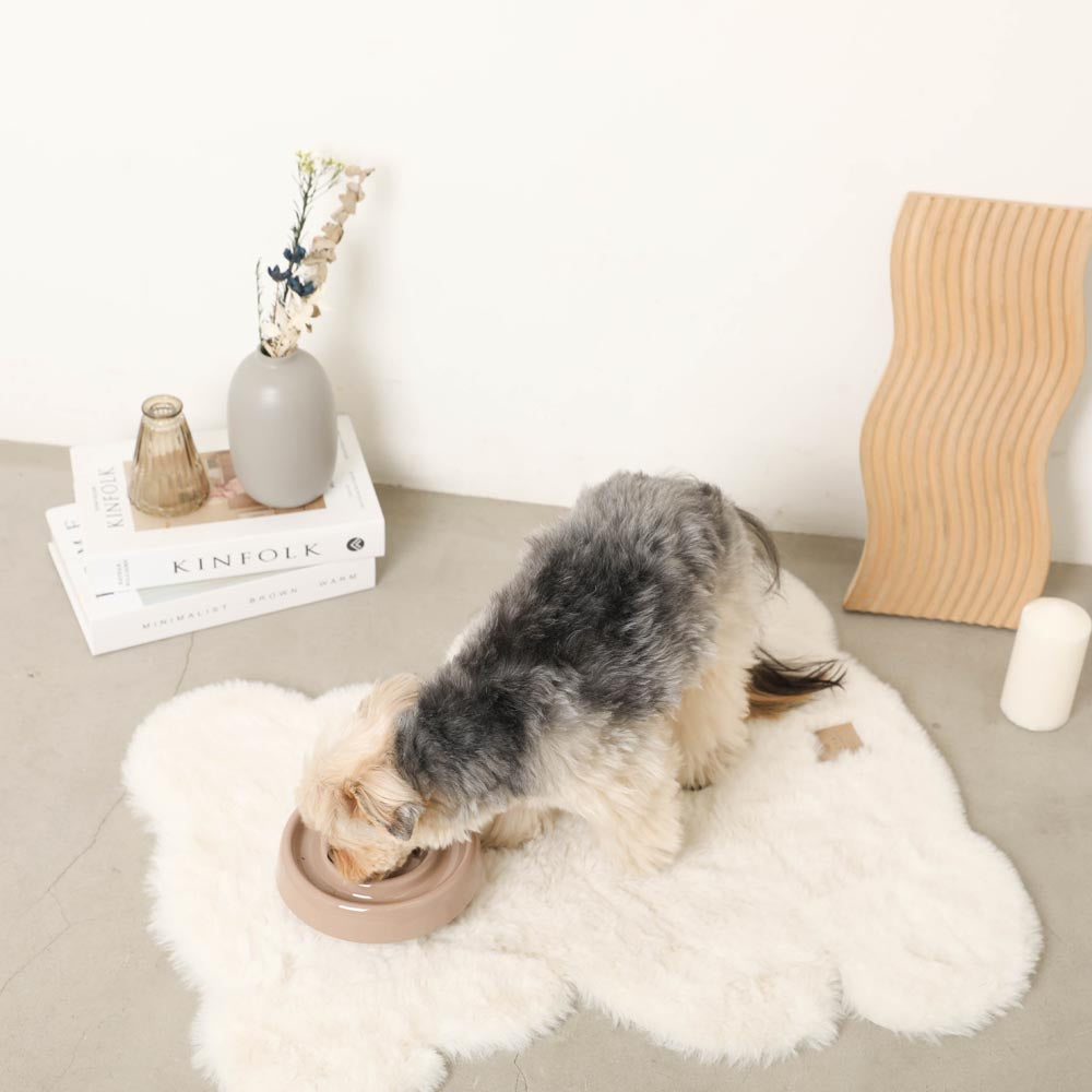 早食い防止ナチュラルサークルフードボウル