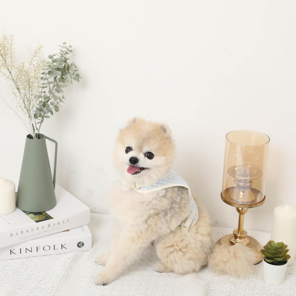 Cool check floral pattern mesh harness + lead set [Compatible with name embroidery] [Compatible with ice packs]