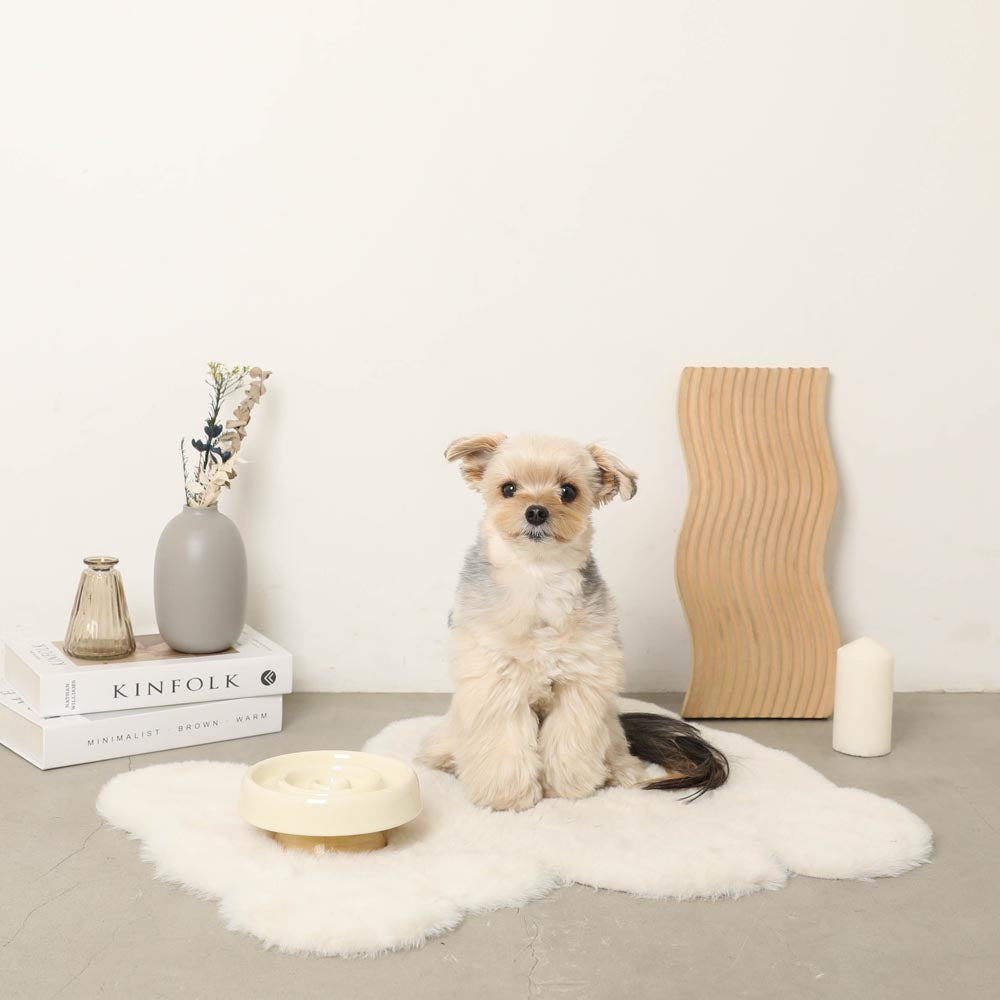 早食い防止ナチュラルサークルフードボウル