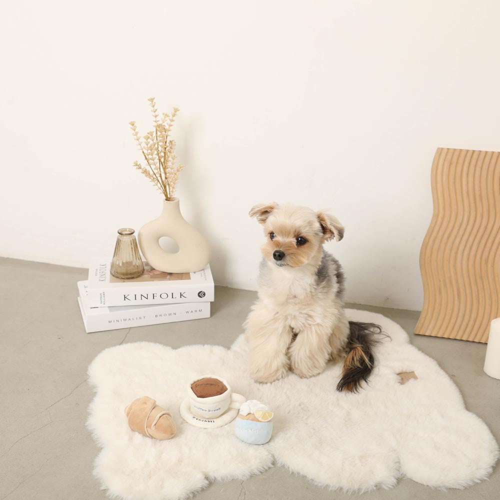 Cafe time toy SET